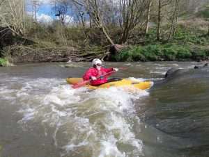 434389024_946135240563403_2532655642281474511_n