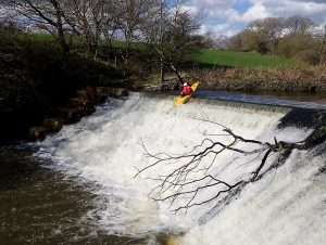 434483443_946134267230167_7752529568249210454_n