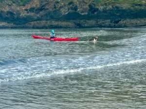 A person in a red kayak with a dog in the water Description automatically generated