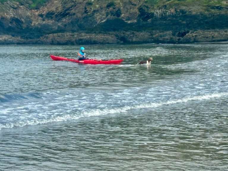 A person in a red kayak with a dog in the water Description automatically generated