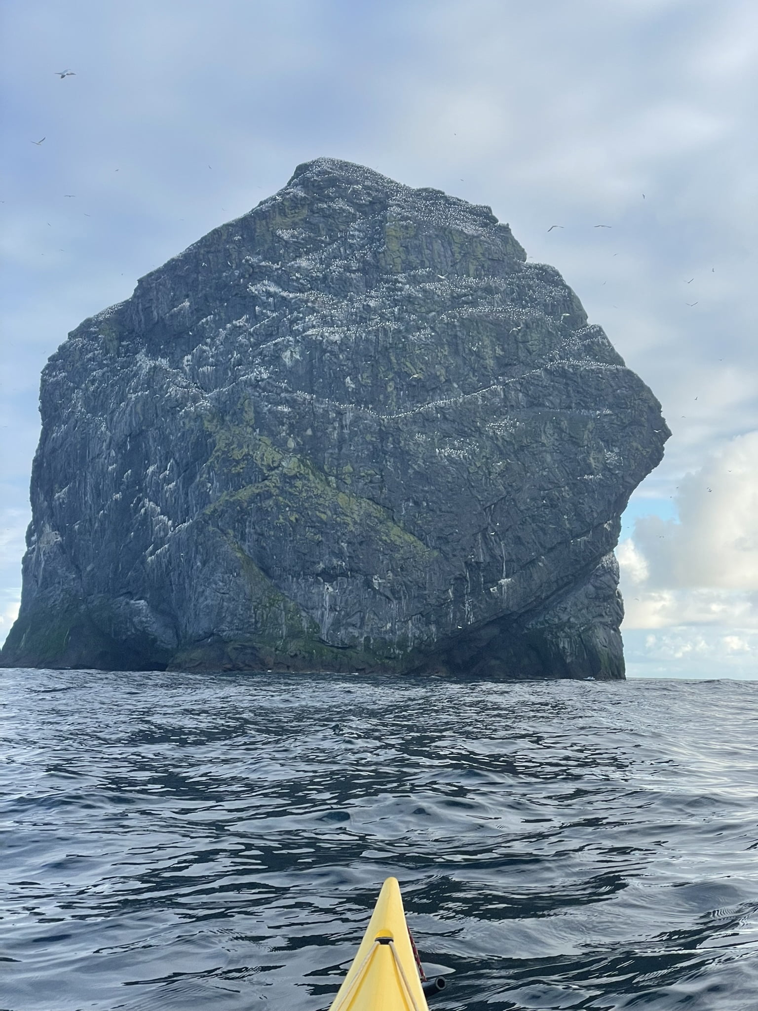 May be an image of sea bird, kayak and Haystack Rock