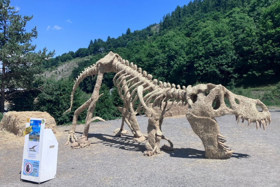 A dinosaur skeleton outside with trees in the background Description automatically generated