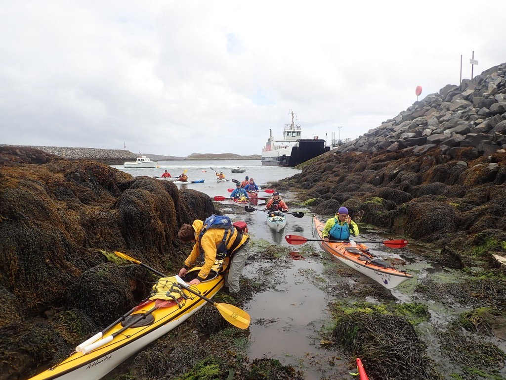 A group of people in kayaks on a rocky shoreDescription automatically generated