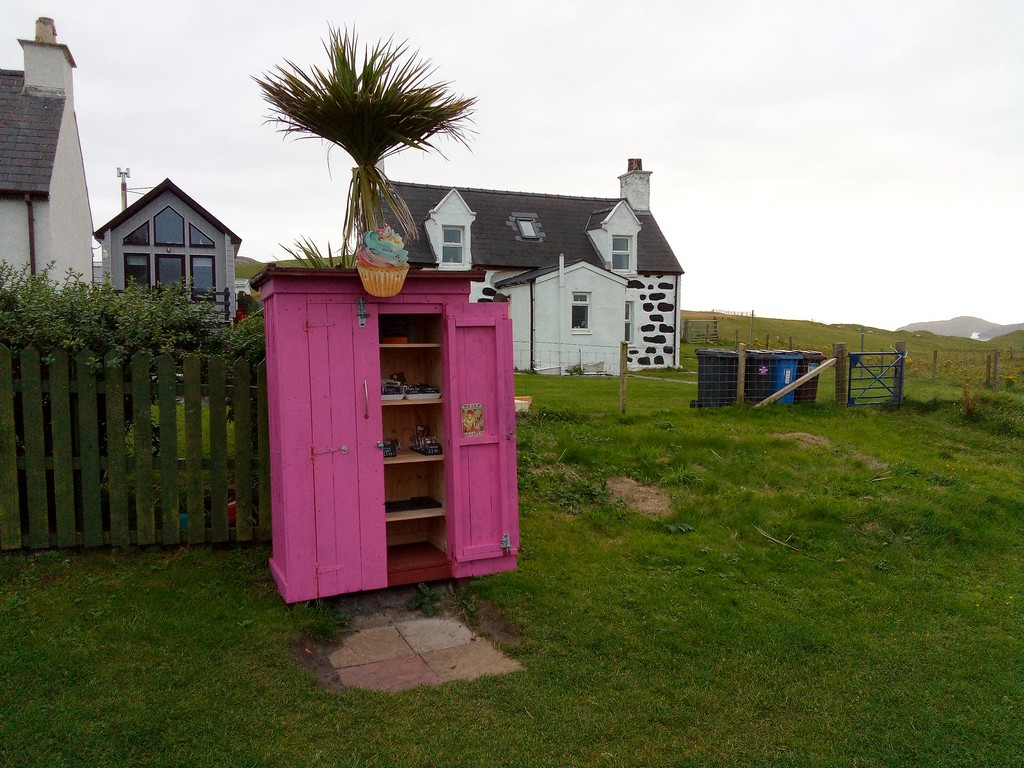 A pink shed in a grassy areaDescription automatically generated