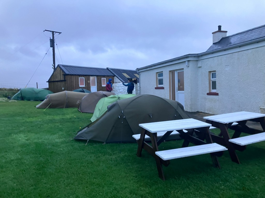 Tents and picnic tables in a grassy areaDescription automatically generated