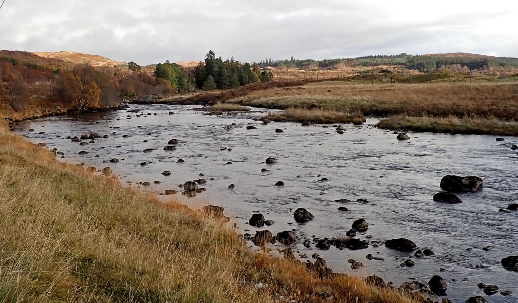 A river flowing through a grassy areaDescription automatically generated