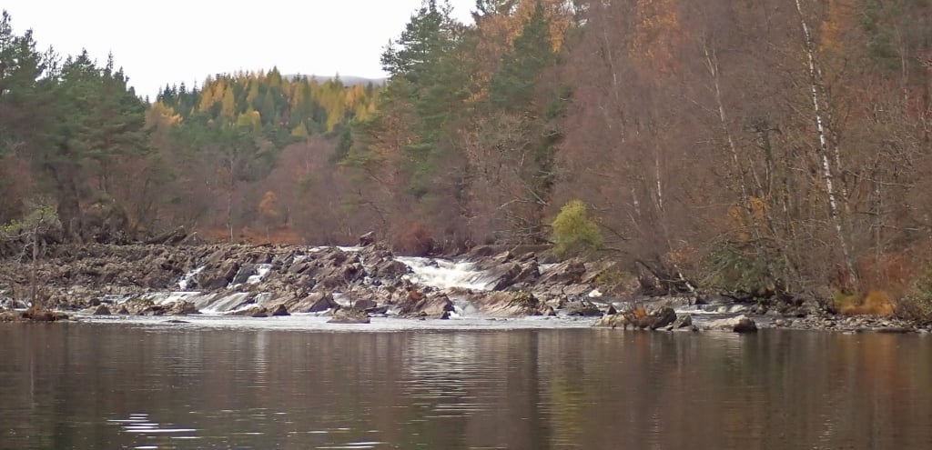 A river with rocks and trees

Description automatically generated