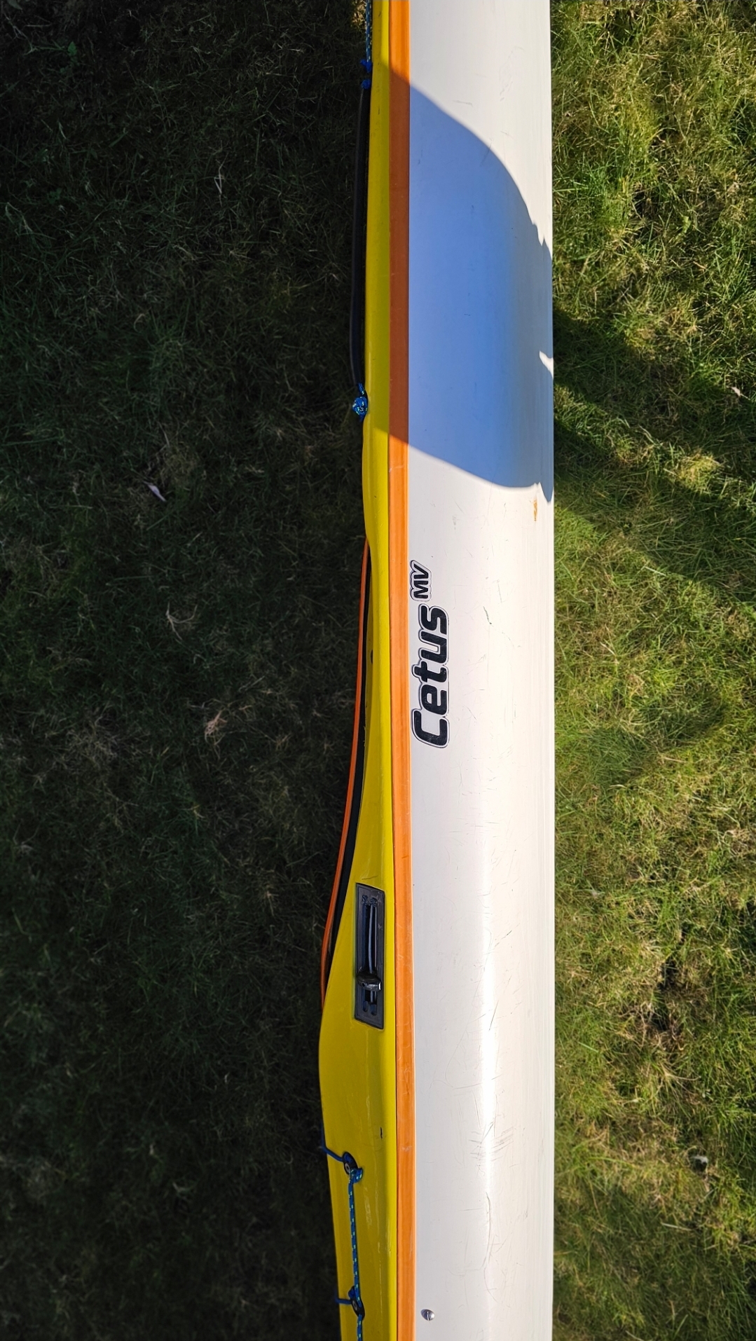 A white and yellow object on grassAI-generated content may be incorrect.