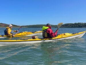 Pembroke by Adya 0015