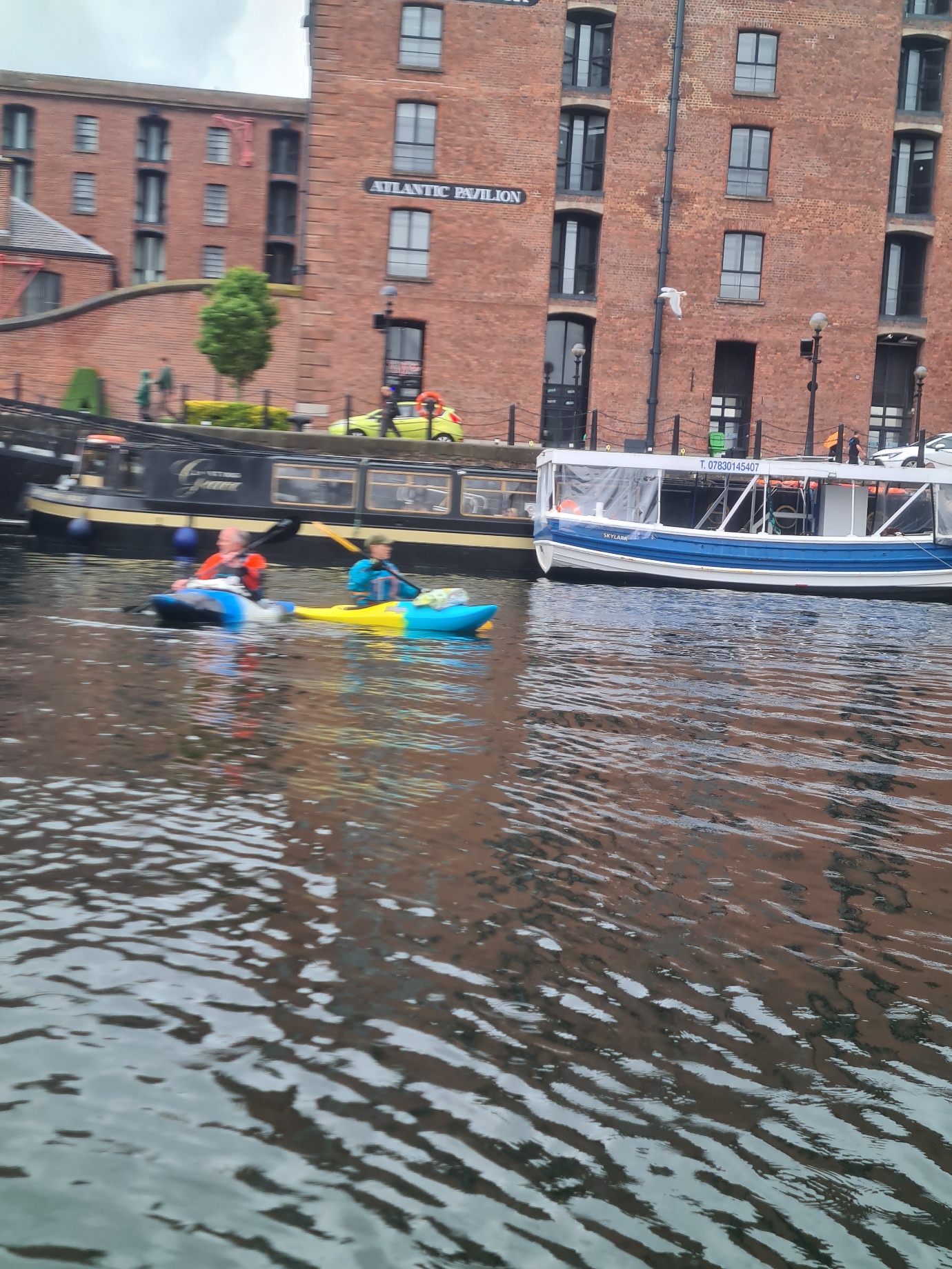 A group of people in kayaks on a riverAI-generated content may be incorrect.