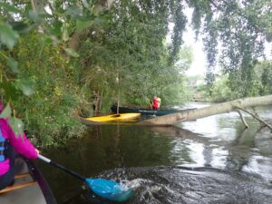 OLYMPUS DIGITAL CAMERA OLYMPUS DIGITAL CAMERA