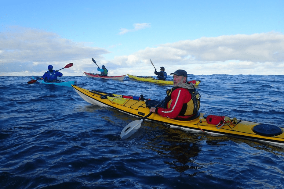 A group of people in kayaks Description automatically generated with low confidence
