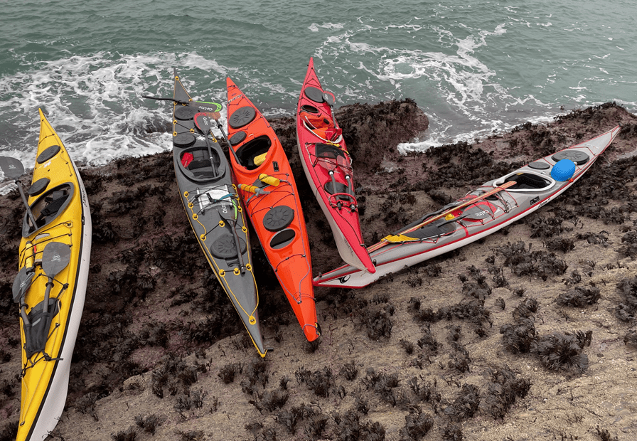 A group of kayaks on a rocky beach Description automatically generated