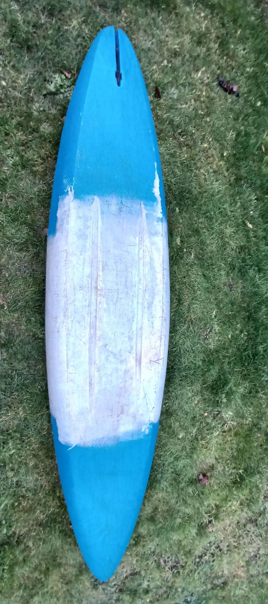 A surfboard on the grass

Description automatically generated
